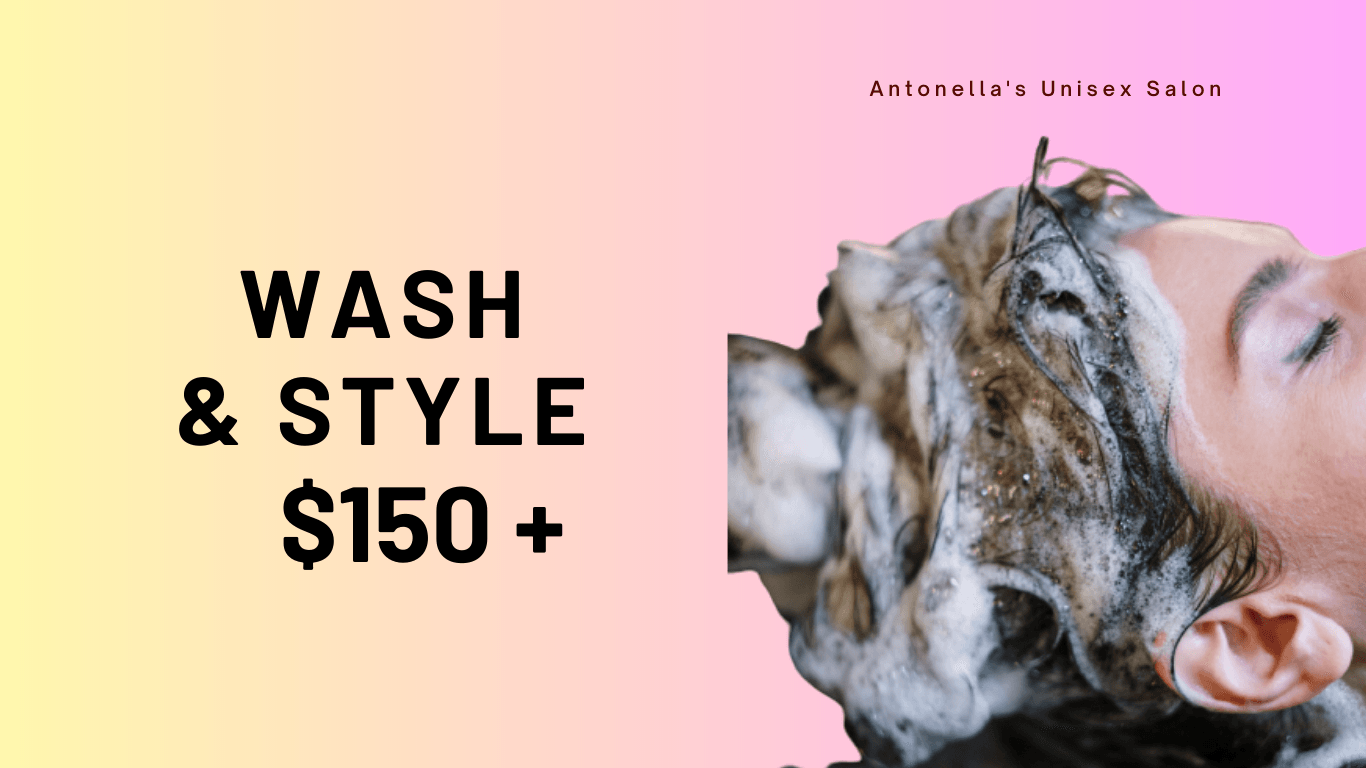 Wash & Style Special